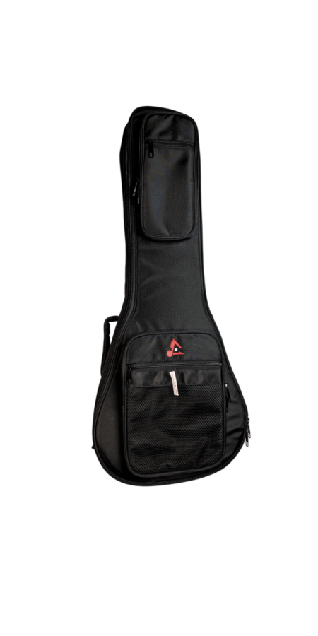Estuche de bandolín EB-17