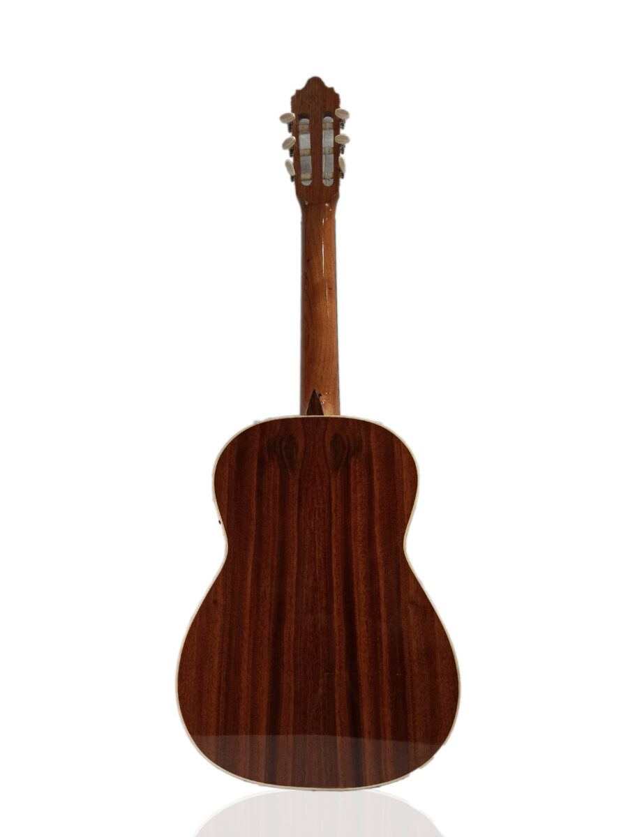 Guitarra Modelo: YachayAcus - M100 - Imagen 2
