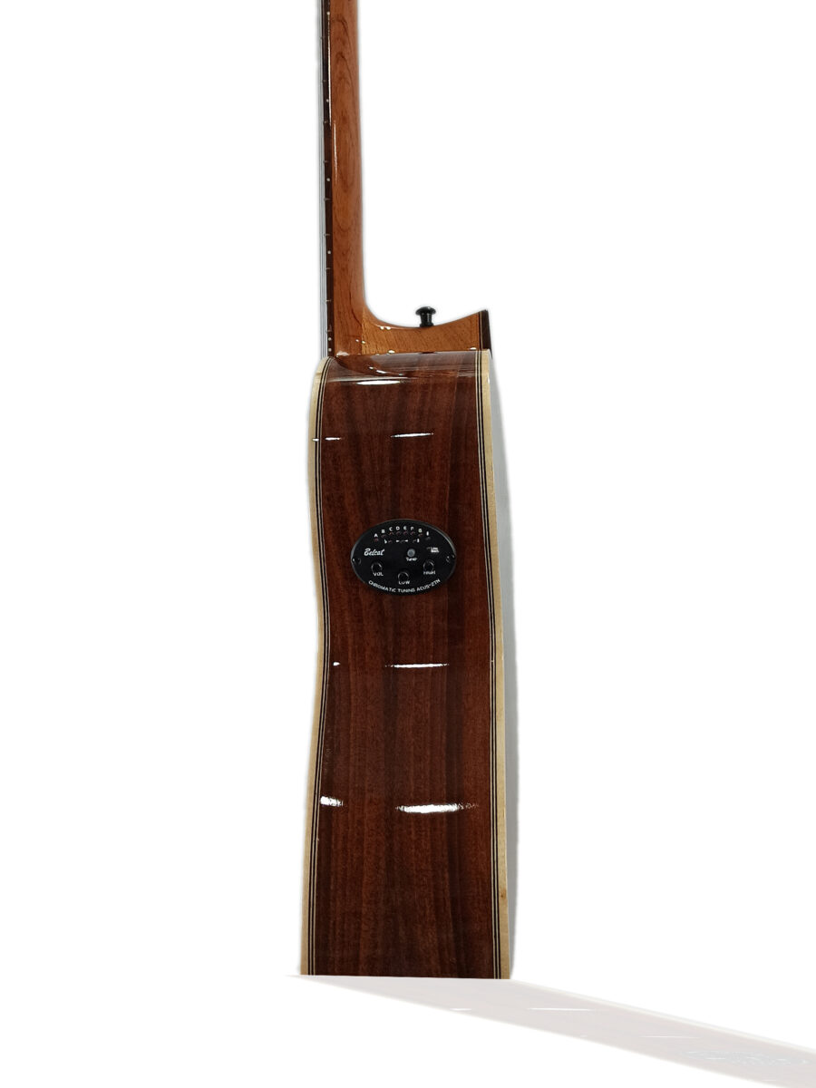 Guitarra Modelo: YachayAcus - M100 - Imagen 3