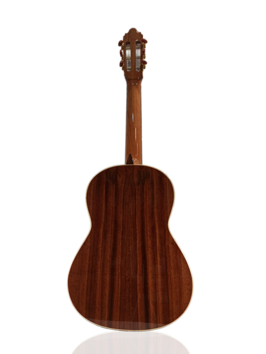 Guitarra Modelo: Yachay - M100 - Imagen 4