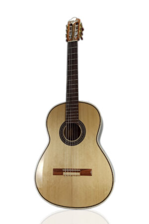 Guitarra Modelo: Yachay - M100