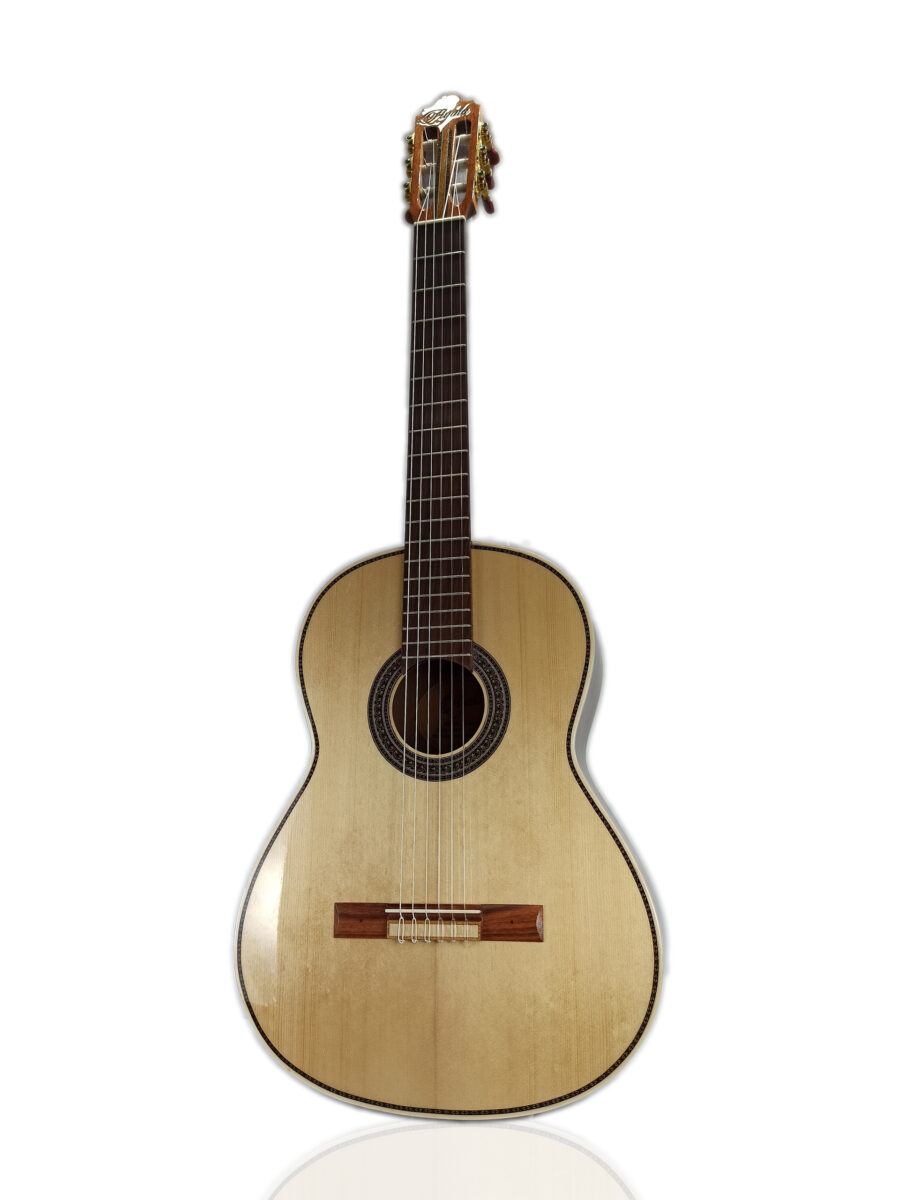 Guitarra Modelo: Yachay - M100