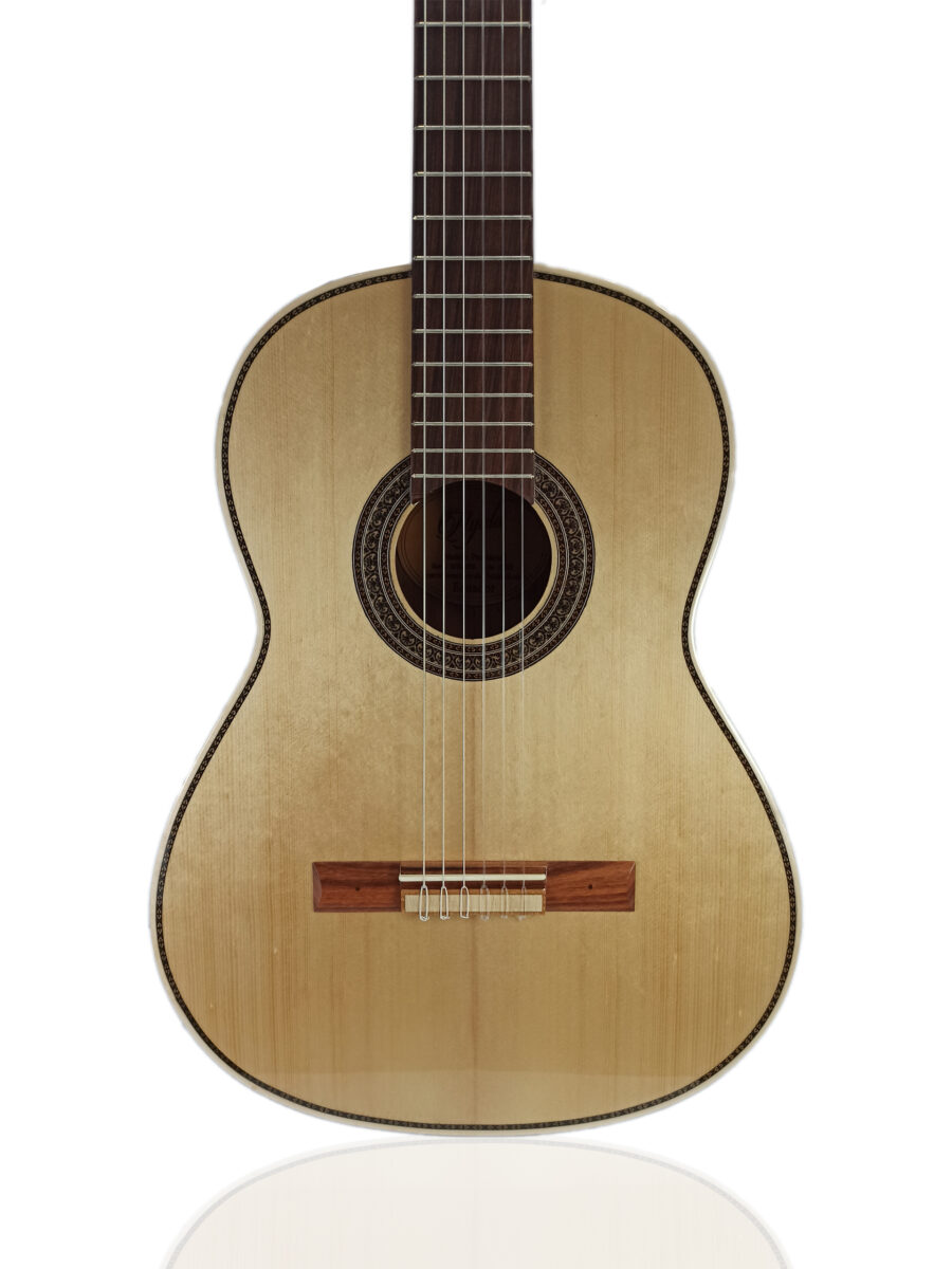 Guitarra Modelo: Yachay - M100 - Imagen 2