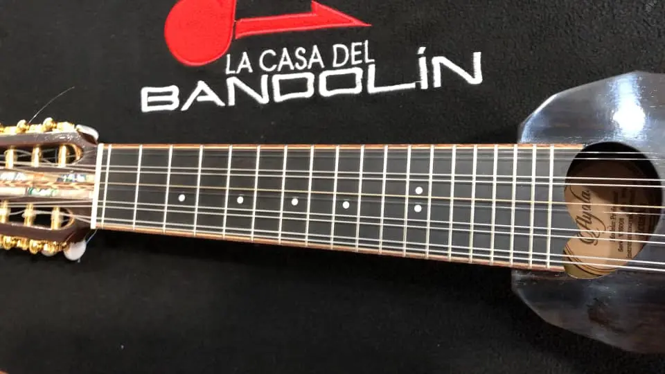 consejos-de-compra-charango-la-casa-del-bandolín