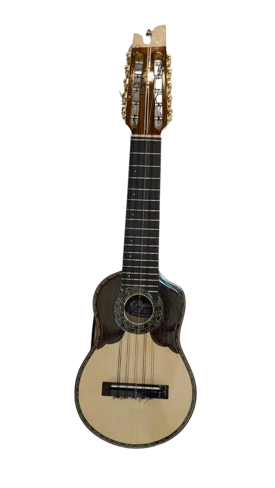 Charango-Profesional-AYALA-EQ-TAPA